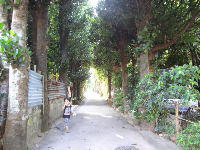 Hostal Bise House Motobu Exterior foto